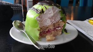 Vegan Swedish Princes Cake Profile at Kao's in Malmo