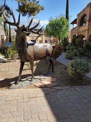 Beautiful  Scenery at Secret Garden Cafe in Sedona