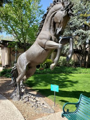 Mustang at Secret Garden Cafe in Sedona