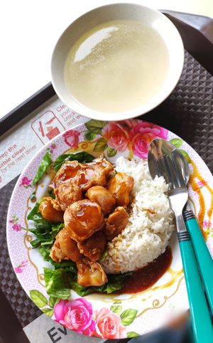 Teriyaki Monkey Head Mushroom Rice at He Hua Vegetarian 荷花素食 in Central Singapore