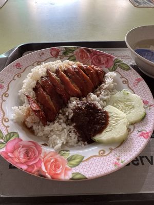   at He Hua Vegetarian 荷花素食 in Central Singapore