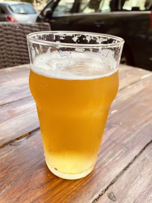 Nektar beer  at VegANGELov  in Belgrade