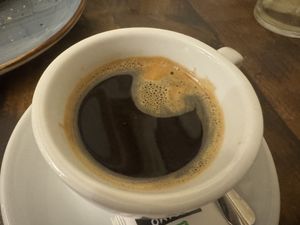   at VegANGELov  in Belgrade