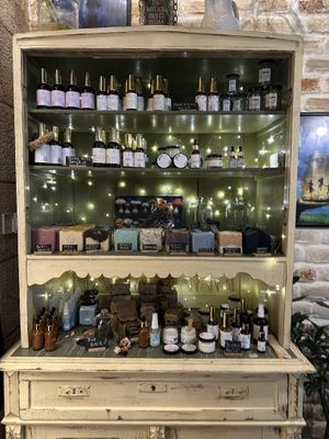   at VegANGELov  in Belgrade