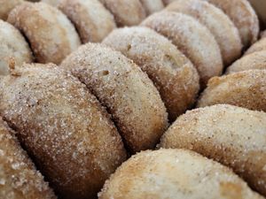 APPLE CIDER DONUTS (FALL EXCLUSIVE) at The Bearded Nun - temporarily closed in Gleneden Beach