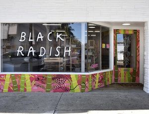 Black Radish Grocer DTSP at Black Radish Grocer DTSP in St Petersburg