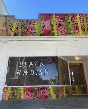 Black Radish DTSP at Black Radish Grocer DTSP in St Petersburg