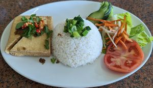 15. Rice w/ deep fried lemongrass seasoned tofu at Thuong An lac in Honolulu
