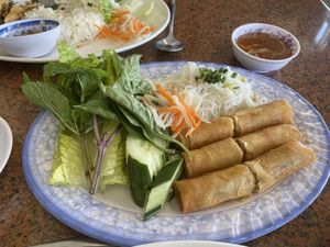 Spring Rolls - this starter could be a meal  at Thuong An lac in Honolulu
