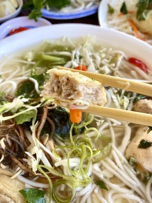 Housemade vegan duckk  at Thuong An lac in Honolulu