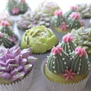 Succulent cupcakes  at CupKate in Milwaukee