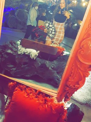  at Alux Restaurante in Playa Del Carmen