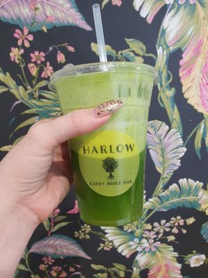  at Harlow - 23rd Ave in Portland