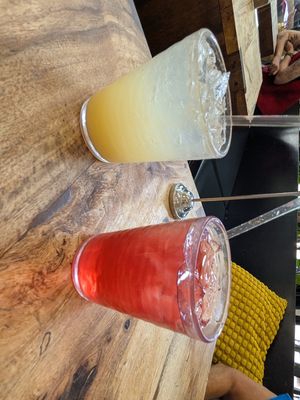 Ginger soda & Hibiscus tea at Harlow - 23rd Ave in Portland