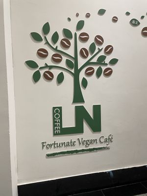   at LN Fortunate Coffee in Shanghai