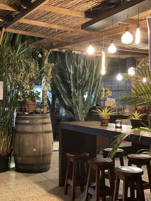   at El Saloon in Gran Canaria