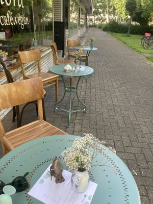   at Paniflora in Witten
