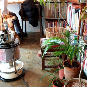 nice seating...small at Cafe Yeorm in Seoul