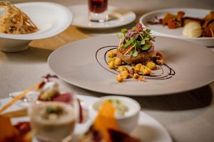 Wellness Dinner Course at Natural Dining Wald Haus - ヴァルト ハウス 森の家 in Tokyo