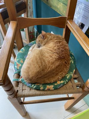   at Coffee Circus Joy in Marsalforn