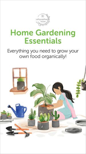  at Satopradhan Vision in Amritsar