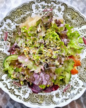   at Formidable Pelikan in St Gallen