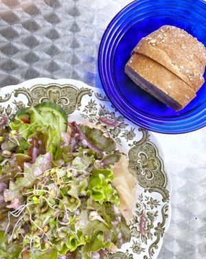   at Formidable Pelikan in St Gallen