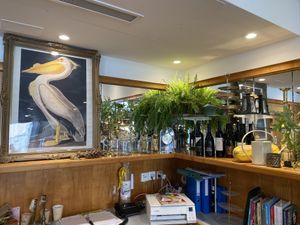   at Formidable Pelikan in St Gallen