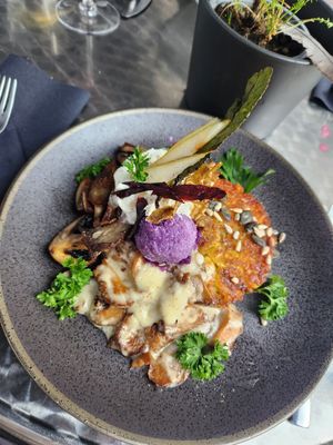  at Formidable Pelikan in St Gallen