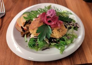 Falafel tapa at Formidable Pelikan in St Gallen