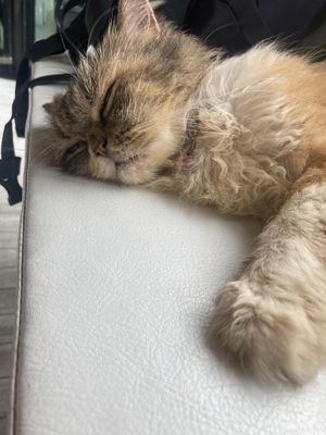   at At Twentytwo in Phuket