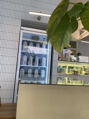   at ODOV - 오도브 in Seoul