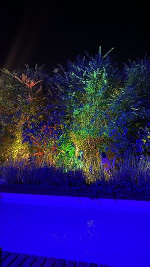 Hermoso el lugar 😍 #Veganuary at Verde Bistro in Tandil