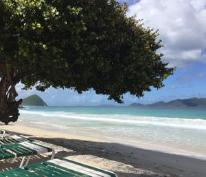 Apple Bay    at Sebastian's on the Beach in Tortola