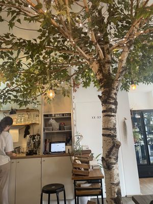 Inside  at Sèves in Nancy