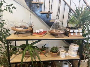 Inside and cake of the day  at Sèves in Nancy