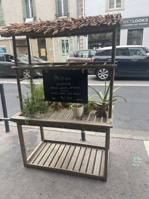 Suggestion of the day  at Sèves in Nancy