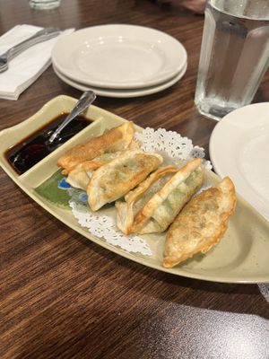 Veggie Dumplings (pan fried)  at Urban Vegan - Lake View in Chicago