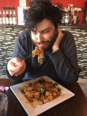 the first dive at Urban Vegan - Lake View in Chicago