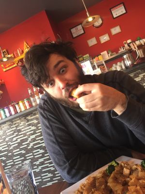 Spring roll make my brain explode at Urban Vegan - Lake View in Chicago