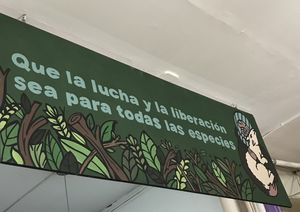 sign in restaurant   at Violeta Dulceria Vegana in Valparaiso