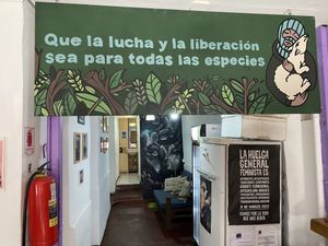 Liberate All Species  at Violeta Dulceria Vegana in Valparaiso