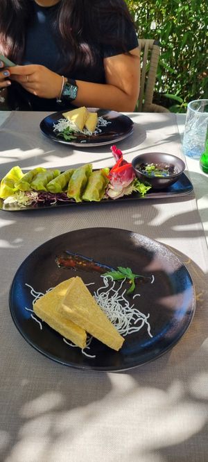 Gyozas with complimentary tofu at ARROI Restaurant in Bled