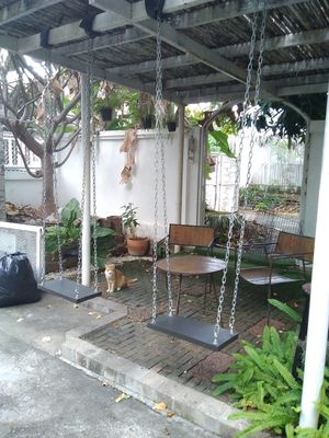  at Veggie Tales x Wagging Tales Cafe in Hua Hin