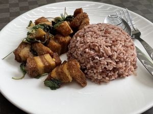 Stir-fried plant-based pork belly with basil leaves and steamed rice, 120 baht  at Veggie Tales x Wagging Tales Cafe in Hua Hin