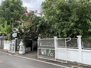 From outside  at Veggie Tales x Wagging Tales Cafe in Hua Hin