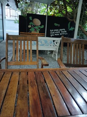 Shaded garden at Veggie Tales x Wagging Tales Cafe in Hua Hin