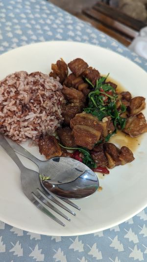 Vegan pork belly khaprao at Veggie Tales x Wagging Tales Cafe in Hua Hin
