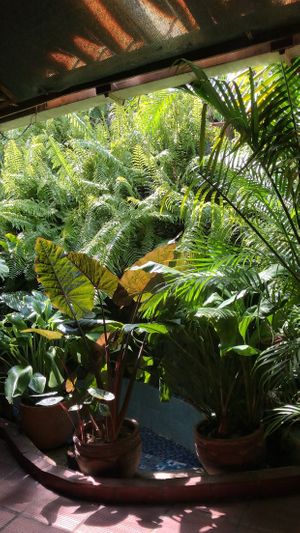 Hermoso lugar para visitar  at El Huerto in Barranquilla