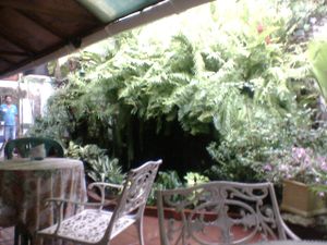 patio at El Huerto in Barranquilla